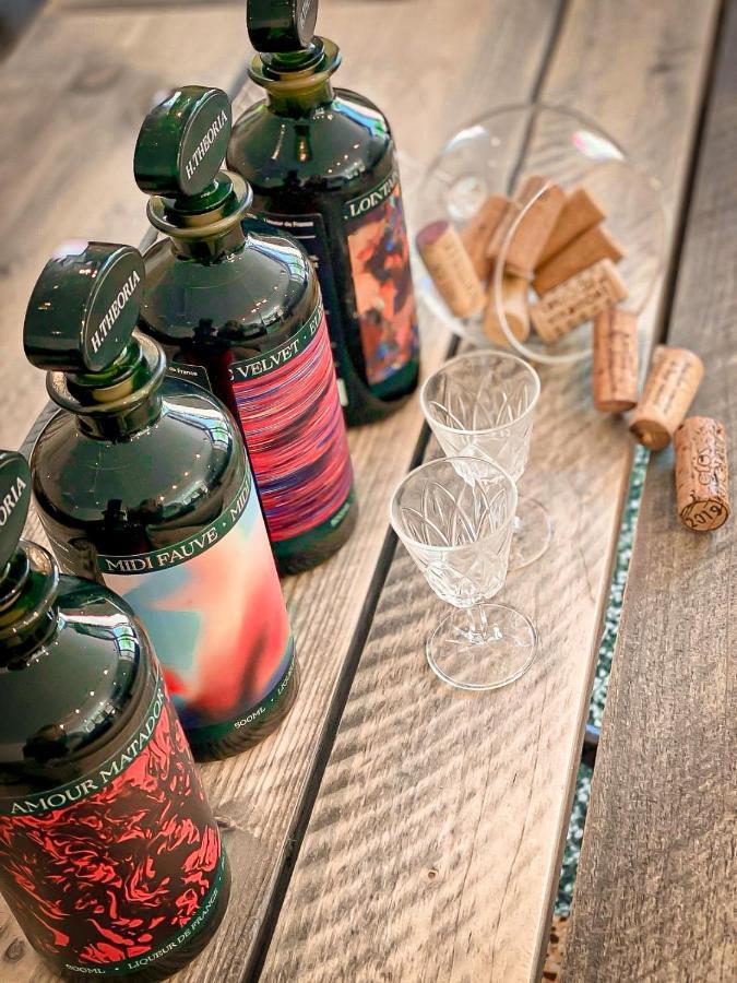 Vins De Dagne Hotel Montlaur  Ngoại thất bức ảnh